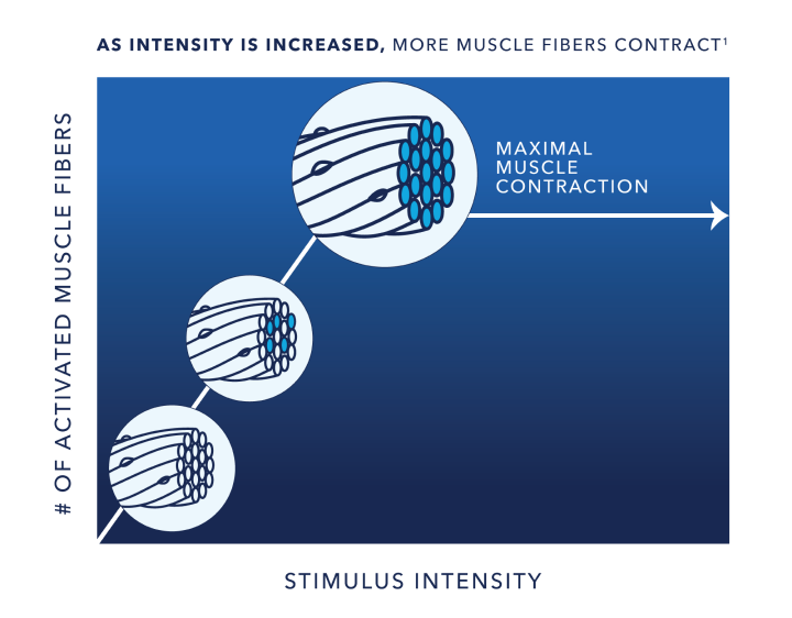 Intensity:<br>Muscle Excitation